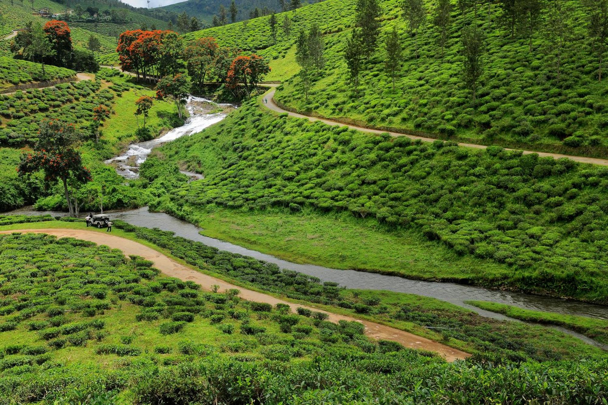 Spicegreen Homestay,Thekkady Kültér fotó