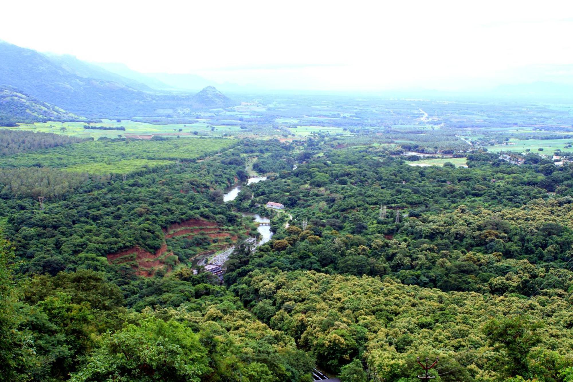 Spicegreen Homestay,Thekkady Kültér fotó