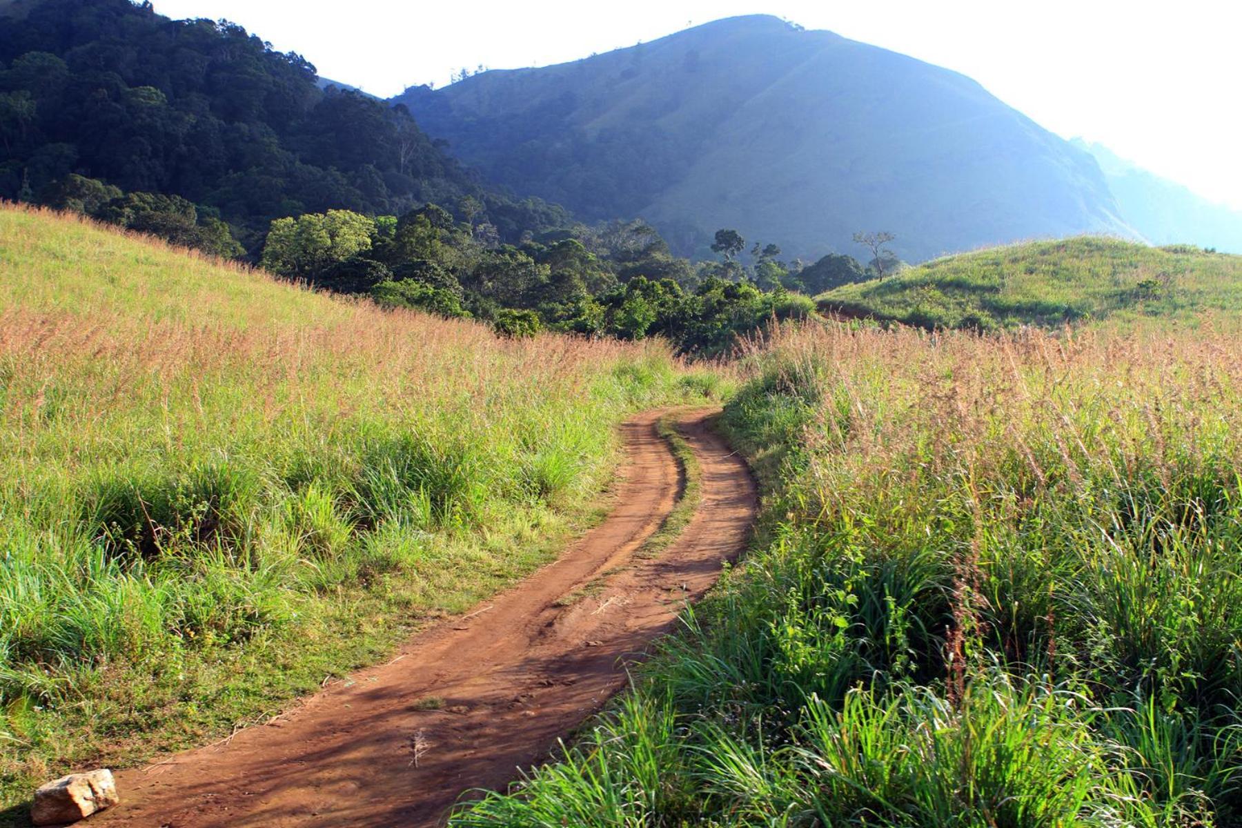 Spicegreen Homestay,Thekkady Kültér fotó